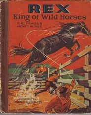 The King Of Wild Horses (1924)