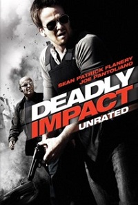 Deadly Impact (2009) 5.1 (Subtitulada)