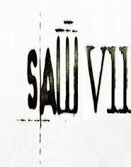 Saw VII ( 2010 )