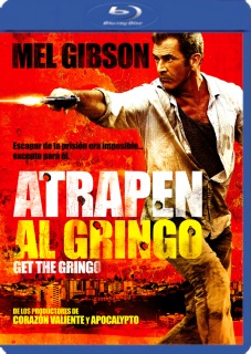 Get The Gringo (2012)