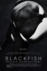 Blackfish( 2013) LIMITED DOCU 480p