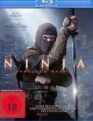 Ninja Shadow of A Tear (2013)