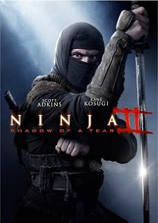 Ninja Shadow of A Tear (2013)