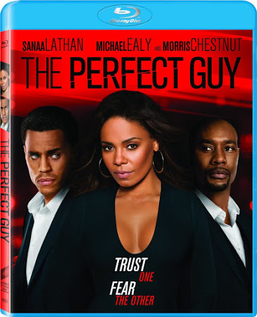 The Perfect Guy (2015) 720p