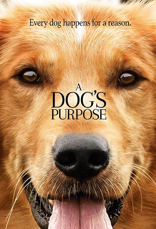 A Dogs Purpose