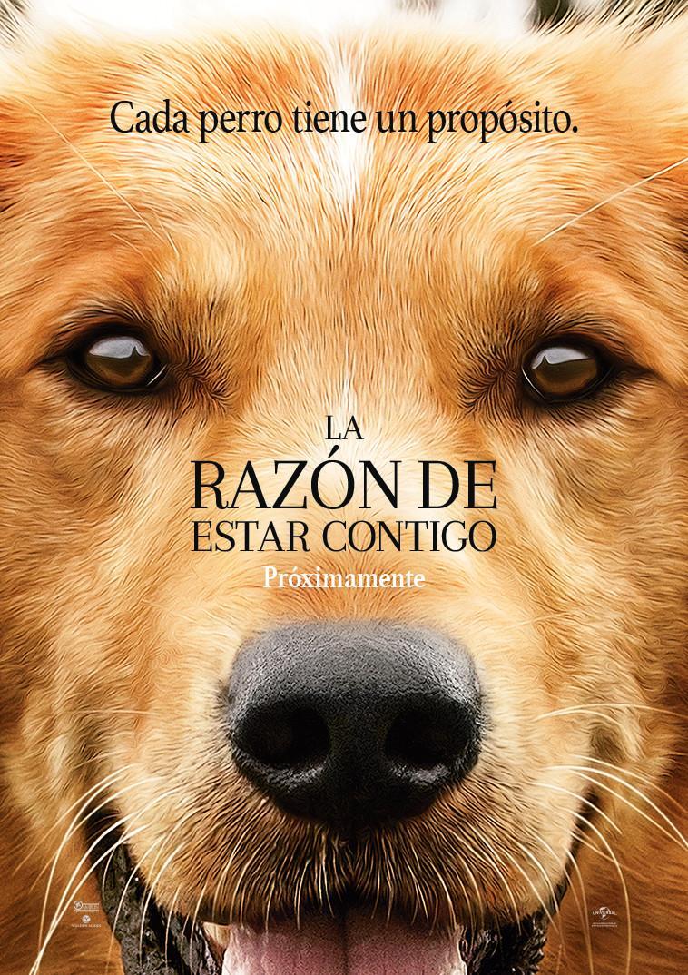 La Razon De Estar Contigo (2017)