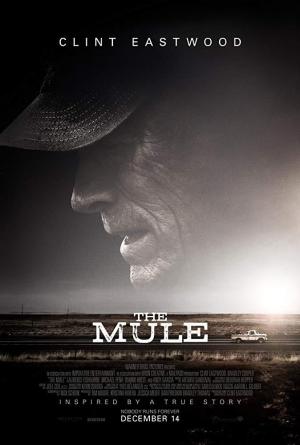 The mule