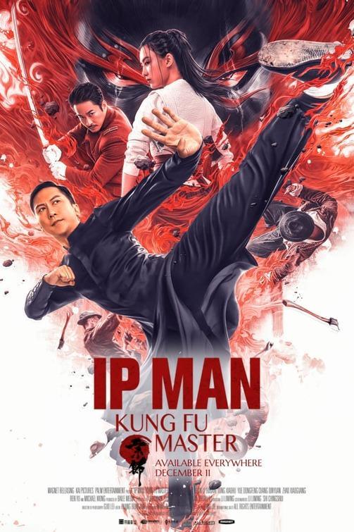 Ip Man Kung Fu Master