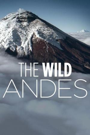 The Wild Andes